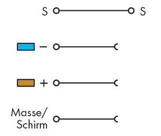 Circuit Diagram: Two symbols, 'S' indicates an open switch, differently coloured lines suggest positive and negative conductors.