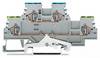 WAGO 279-527 Dual port PG terminal 4 mm Pull spring Configuration: Terre, L Grey 50 pc(s)