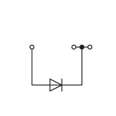 An electronic circuit shows a diode placed in a parallel connection with points at both ends.
