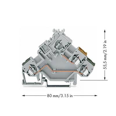 Grey-orange terminal block, 80 mm wide, 55.5 mm high, with arrows indicating length and height.