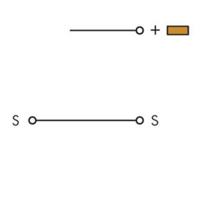 Electrical circuit diagram with two conductors. Upper conductor with a circle and plus sign next to a rectangular shape. Lower conductor with two circles, labelled with 'S'.