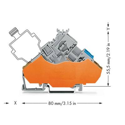 'Cross-section of an electrical connection with an orange housing, 55.5 mm in height, 80 mm in length. Technical drawing with dimensions.'