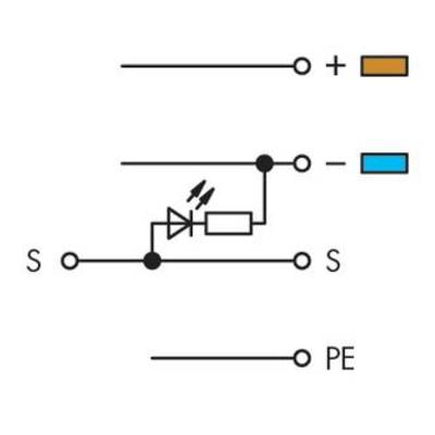 Circuit diagram of an overvoltage protection: Shows positive (+) and negative (-) conductors with integrated diode and resistor, as well as protective earth (PE).