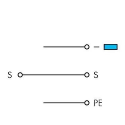 Diagram with three electrical conductors: Top marked with blue marker, middle marked with 'S' at both ends, bottom marked with 'PE'.