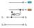 'Circuit diagram shows two switches (S1, S2). S1 with a diode and resistor in a parallel branch, connected to a positive voltage source.'