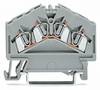 WAGO 280-646 Continuity 5 mm Pull spring Configuration: L Grey 100 pc(s)