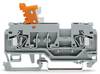 WAGO 280-868 N terminal 5 mm Pull spring Configuration: L Grey 100 pc(s)
