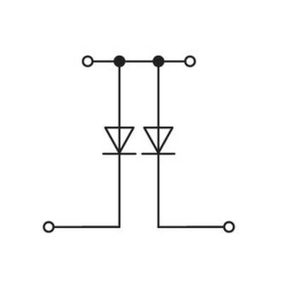 'Electronic Circuit Symbol: Two diodes connected in series, connected in parallel. Connections shown at the top and bottom.'