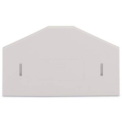 A white, triangular component with two lateral slots, potentially a cover or a connection module.