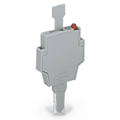 Grey plastic plug adapter with a transparent tip and a red LED. 'Open' marking on the front side.