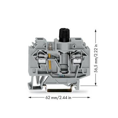 Grey electrical terminal block with two spring connections, screw terminal at the top. Dimensions: 62 mm wide, 56.5 mm high.