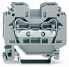 WAGO 284-101 Continuity 10 mm Pull spring Configuration: L Grey 50 pc(s)