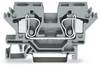 WAGO 284-601 Continuity 10 mm Pull spring Configuration: L Grey 25 pc(s)