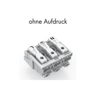 An electrical connection block with three terminals, each marked with symbols 'T', 'Earth' and 'N'. Above it reads 'no print'.