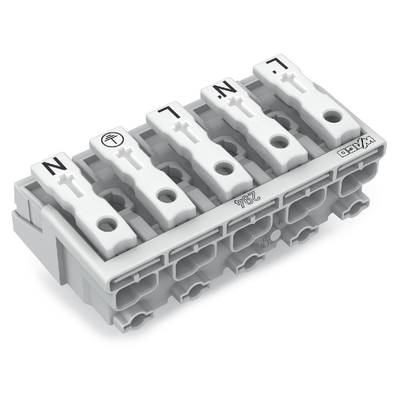 A grey, modular WAGO terminal block with five connections, labelled with symbols and letters L, N, earth symbol, for wiring.