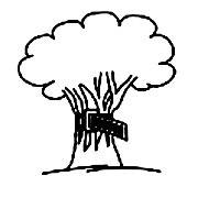 A tree with a wooden swing attached to a branch. The tree has a dense canopy and grass lies beneath it.