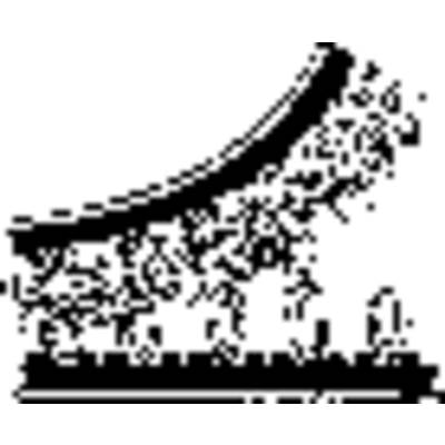 A diagram shows an exponential increase with a curve that rises upwards, and points scattered to the left and right.