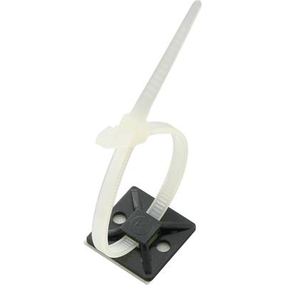 A white cable tie is mounted on a black mounting plate that has two screw holes for attachment.