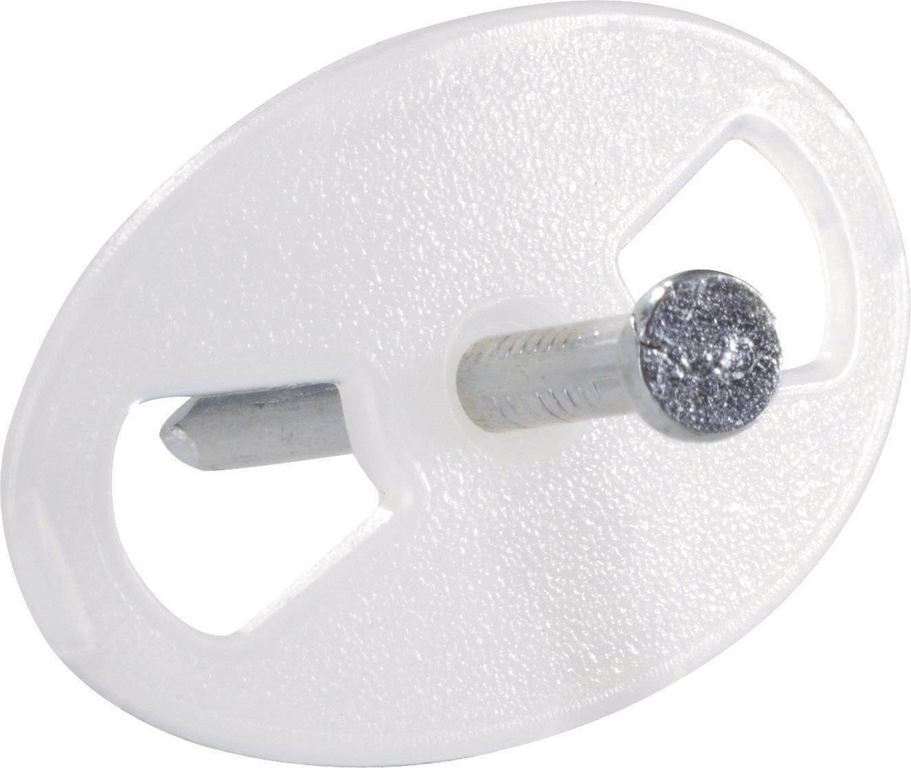 A white wall plug with screw, used for fixings on walls or ceilings, against a neutral background.