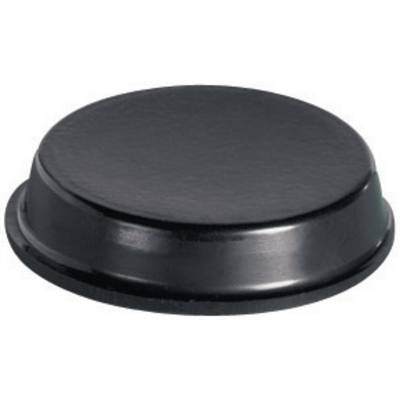 A round, flat, black lid, presumably made of plastic.