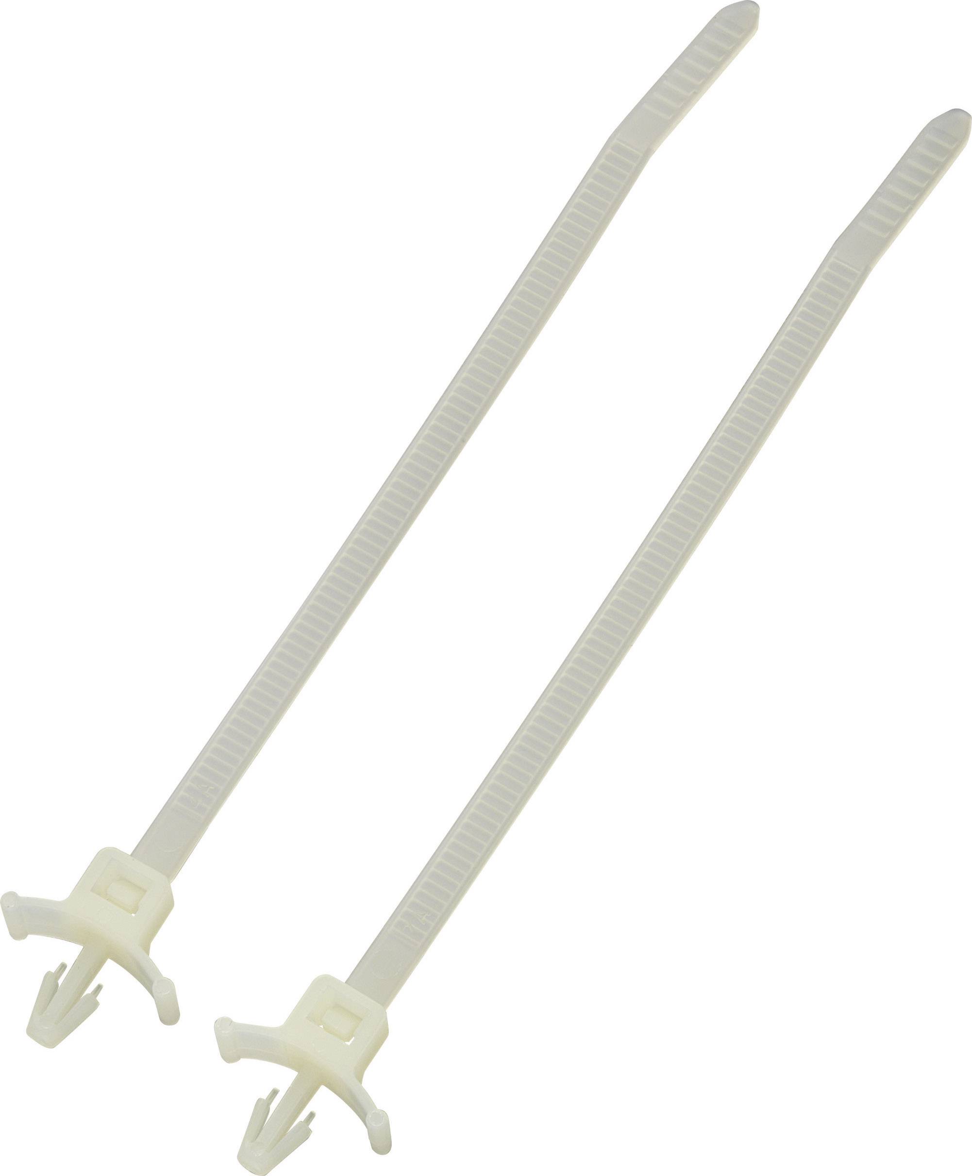 TRU COMPONENTS 1592911 TC-PWVS100203 Cable tie 112 mm 2.50 mm Ecru Spring toggle 1 pc(s)