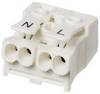 Adels-Contact 21714 LK 980-01/2B Lamp terminal flexible: 2.5-2.5 mm² fixed: 2.5-2.5 mm² Number of pins: 2 1 pc(s) White