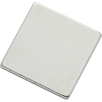 TRU COMPONENTS N35-202002 1564098 Magnetic pad N35-202002 Silver (L x W) 20 mm x 20 mm 1 pc(s)