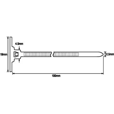 A cable tie with the dimensions: 100 mm length, 19 mm width, 2.5 mm thickness. 4.5 mm high at the tip.