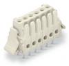 WAGO Socket housing PCB 734 Total number of pins 2 Contact spacing: 3.50 mm 734-462/037-000 100 pc(s)