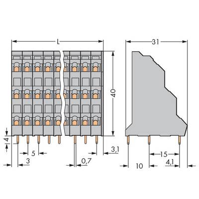Technical drawing of a connector with dimensions: Length (L), Width (31 mm), Height (40 mm) and contact pins in the lower section.