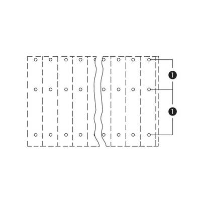 Technical drawing of a rectangular pattern with parallel lines and scattered points. Marking '1' indicates areas.