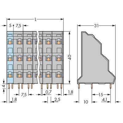 Technical drawing of an electrical connector with dimensional specifications. Height: 40 mm, Width: 31 mm, Depth: 41 mm. Connector slots and pin spacing are illustrated.