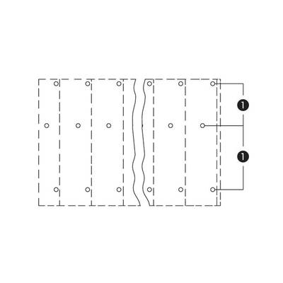 Drawing shows two sets of vertical lines with numbered points in between, marked as '1', symbolising a continuous connection.