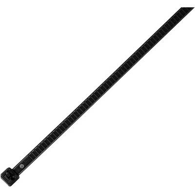 A black cable tie, neatly aligned, on a white background.