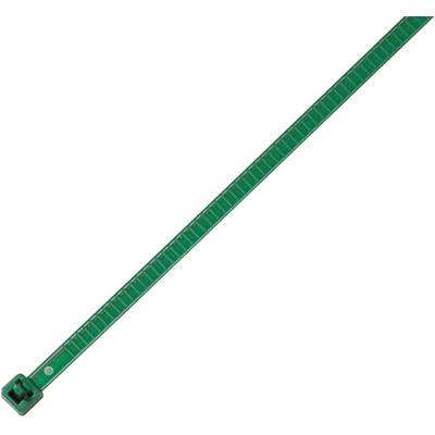 Green cable tie with a locking head, laid out straight on a white background.
