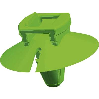 A green, adjustable plastic wall plug with wing-like elements for enhanced stabilisation in walls.
