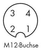'M12 socket pin assignment, circular: top left 3, top right 4, bottom left 2, bottom right 1.'