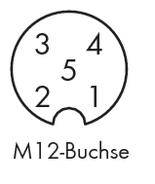 'M12 socket' depicted with five numbered pins in a circular layout.