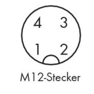 'Order of pins in an M12 connector: 1-4-3-2 clockwise.'