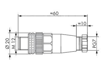 Technical Drawing of a Plug with Dimensions: Length approx. 60 mm, Diameter 20 mm, Connection PG7 and M12.