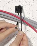 HellermannTyton 109-00130 Q30LR-HS-NA-C1 Cable tie 250 mm 3.60 mm Ecru Open end, UV-proof 100 pc(s)