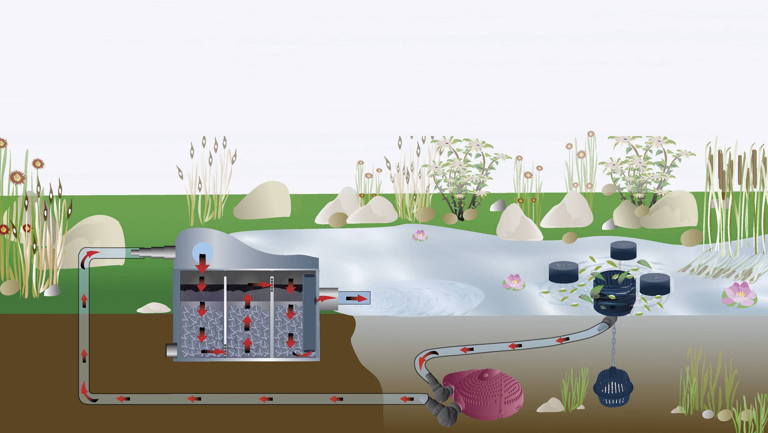 Diagram of a Pond Filter System: Water is pumped through filter technology and returned to the pond. Plants and stones in the background.