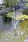 A fountain in a garden pond with water lilies and surrounded by plants. Water bubbles in an arc from the fountain.