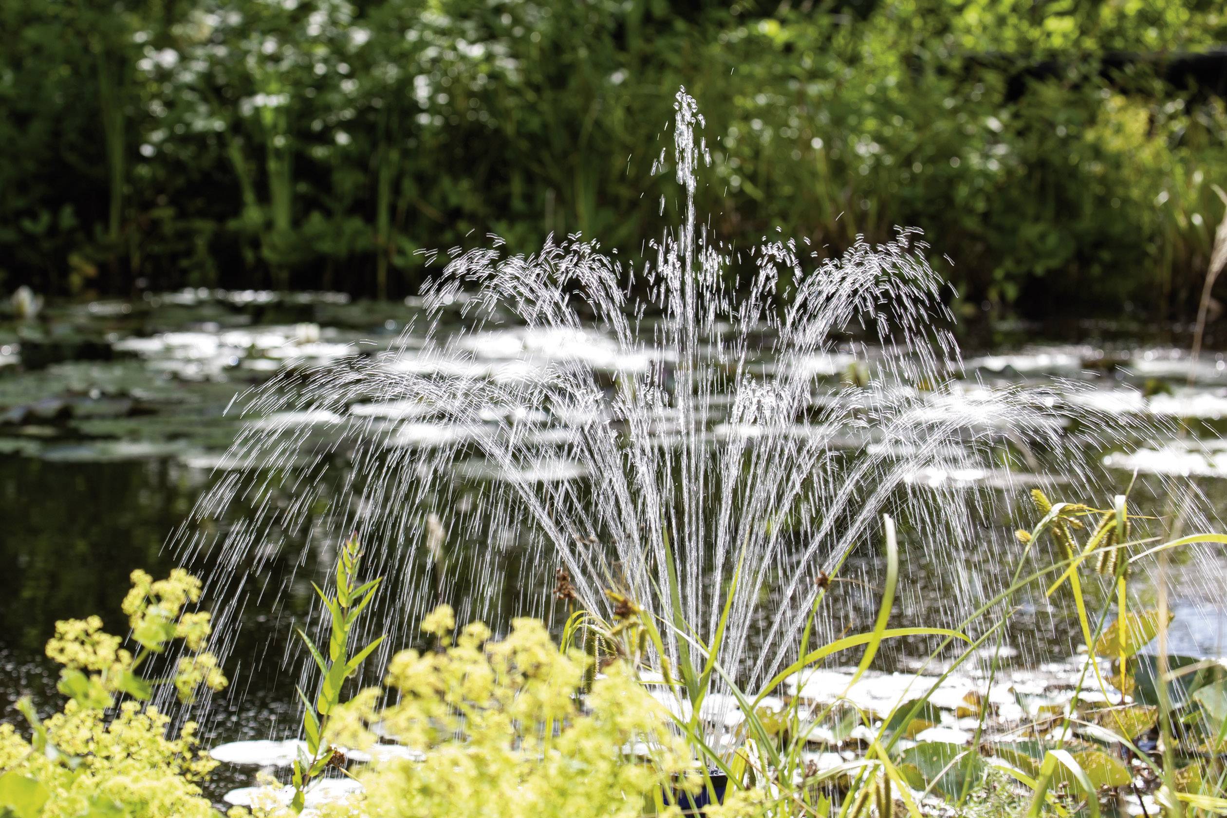 A fountain sprays water into a pond, surrounded by lush vegetation and water lily leaves, beneath a bright sky.