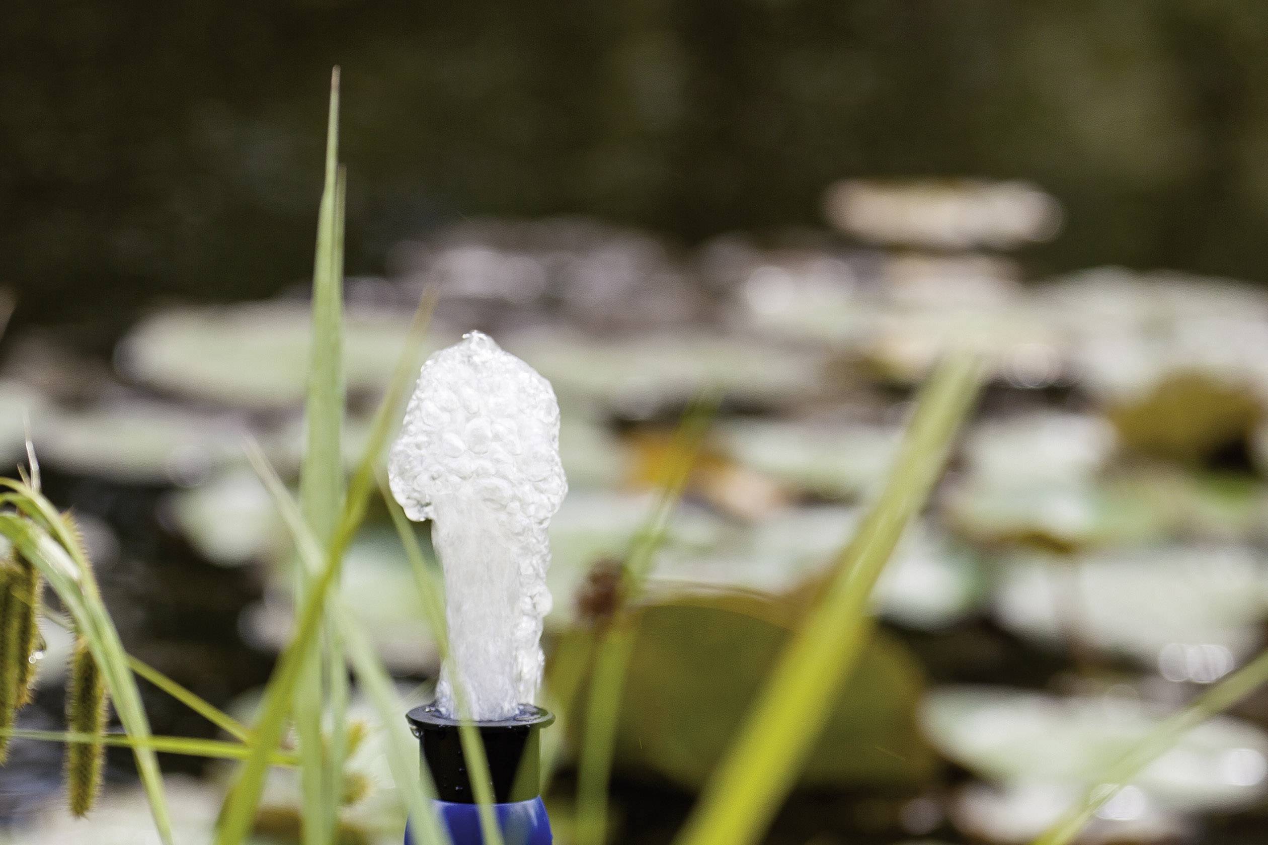Close-up of a tap with water gushing out. Water plants and a pond are visible in the background.
