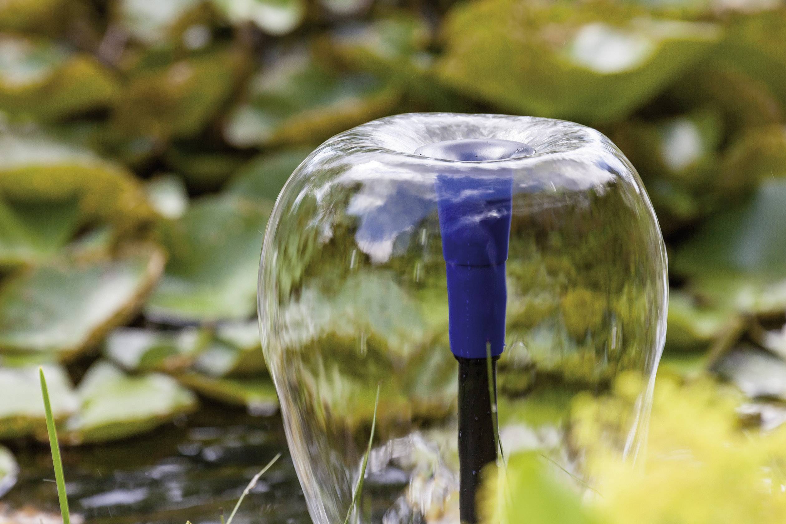 A water feature in the pond creates a glass-like sphere of water. Green plants can be seen blurred in the background.