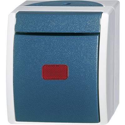 A blue electric wall switch with a rectangular red indicator on the front, surrounded by a grey frame.