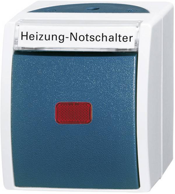 Busch-Jaeger 2601/6 SKWNH-53 Wet room switch product range Heating system emergency switch Ocean (surface-mount) Blue, Green 1 pc(s)