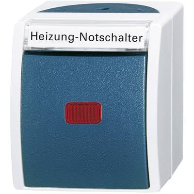 A blue emergency heating shut-off switch with a red push button is located in a white housing.