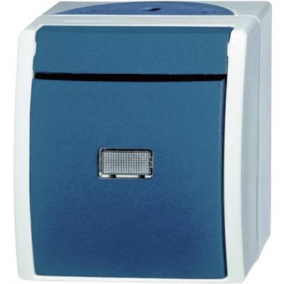 A blue, rectangular wall switch with a white border and a centrally positioned switch, suitable for electrical installations.